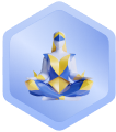 Статус Health Coach